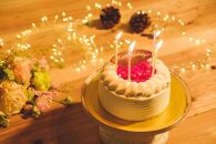 【定期便2ヶ月連続】OIWAIケーキ（生デコ・パッションルージュ）冷凍便　【定期便・ お菓子 生菓子 お祝い デザート お祝い プレゼント 記念日 誕生日 誕生日ケーキ バースデーケーキ 手作り 木苺のケーキ 】