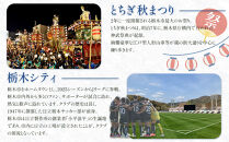 【2026年10月以降発送】JAしもつけ栃木市産にっこり梨&nbsp;5kg【フルーツ&nbsp;果物&nbsp;くだもの&nbsp;食品&nbsp;人気&nbsp;おすすめ&nbsp;】