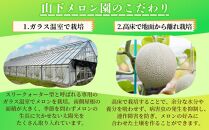 静岡温室メロン 約1.4kg　×　２玉　最高級のマスクメロン　山下メロン園