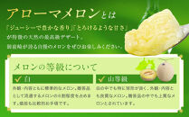 御前崎市産アローマメロン（山等級）2玉入り