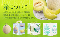 御前崎市産アローマメロン（山等級）2玉入り