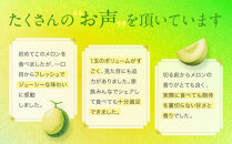 御前崎市産アローマメロン（山等級）1玉入り｜マスクメロン&nbsp;フルーツ&nbsp;果物&nbsp;くだもの&nbsp;デザート&nbsp;ギフト&nbsp;贈答&nbsp;プレゼント&nbsp;箱入&nbsp;静岡