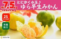 ゆら早生 みかん 小玉ちゃん 箱込7.5kg (内容量 6.8kg) 2Sサイズ以下 秀優混合 有田みかん 和歌山県産 【みかんの会】