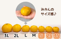 ゆら早生&nbsp;みかん&nbsp;小玉ちゃん&nbsp;箱込7.5kg&nbsp;(内容量&nbsp;6.8kg)&nbsp;3S～Sサイズ混合&nbsp;秀優混合&nbsp;有田みかん&nbsp;和歌山県産&nbsp;【みかんの会】［2026年10月下旬頃より順次発送予定］