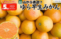 ゆら早生&nbsp;みかん&nbsp;山から直送&nbsp;箱込&nbsp;5kg&nbsp;(内容量&nbsp;4.4kg)&nbsp;採れたてそのままごろごろ規格&nbsp;有田みかん&nbsp;和歌山県産&nbsp;【みかんの会】［2026年10月下旬頃より順次発送予定］みかん&nbsp;果物&nbsp;みかん&nbsp;フルーツ&nbsp;みかん&nbsp;和歌山&nbsp;みかん&nbsp;柑橘類&nbsp;みかん&nbsp;和歌山県産&nbsp;みかん&nbsp;有田&nbsp;みかん