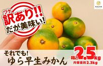 訳あり ゆら早生 みかん 箱込2.5kg (内容量 2.3kg)サイズミックス 有田みかん 和歌山県産 【みかんの会】