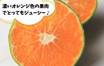 訳あり ゆら早生 みかん 箱込2.5kg (内容量 2.3kg)サイズミックス 有田みかん 和歌山県産 【みかんの会】