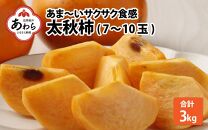 【先行予約】あま～いサクサク食感 太秋柿 3kg (7～10玉) / 梨のような柿 柔らかい フルーツ 柿 かき 糖度が高い あわら市産 くだもの 甘柿※2024年11月中旬より順次発送