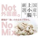 国産牛もつ1kgオーバー！味噌もつ鍋 10人前[牛もつ1.05kg／味噌スープ付]