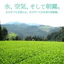 【定期便6回コース】奥八女星野村 深蒸し高級煎茶(深蒸し茶)100g×2袋＜八女茶＞