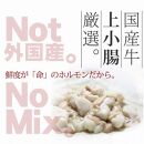 国産牛もつ1kgオーバー！和風醤油もつ鍋 メガ盛り10人前[牛もつ1.05kg／和風醤油スープ付]【もつ鍋 もつなべ 鍋 なべ もつ 鍋セット 鍋料理 牛もつ ホルモン ほるもん ホルモン鍋 冷凍 国産 人気 福岡 土産 九州 博多 ご当地 送料無料 福岡県 大任町 AP026】