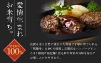 ＼ 牛肉100％ ／ 黒毛和牛 プレミアム ハンバーグ 12個 1.2kg (1つ100g) 馬場牛 肉 お肉 牛肉 牛 和牛 A5 B5 小分け 個包装 冷凍 使いやすい 弁当 お弁当 おかず 惣菜 人気 おすすめ 国産 宮城