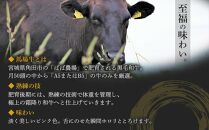 ＼ 牛肉100％ ／ 黒毛和牛 プレミアム ハンバーグ 12個 1.2kg (1つ100g) 馬場牛 肉 お肉 牛肉 牛 和牛 A5 B5 小分け 個包装 冷凍 使いやすい 弁当 お弁当 おかず 惣菜 人気 おすすめ 国産 宮城