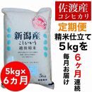 【令和6年度産新米】【毎月定期便】佐渡羽茂産コシヒカリ 5kg(精米)　全6回