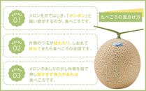 等級「白」アローマメロン　計2.8kg以上（1.4kg以上　2個入れ）　静岡が世界に誇る最高級メロン　大玉