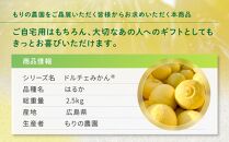 厳選！早春の香り！完熟はるか（2.5kg）2024年2月中旬～3月上旬 発送予定 フルーツ お取り寄せ 産地直送 もりの農園