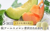 【先行予約】《定期便全5回》フルーツ大満足定期便 ／ すいか マスクメロン 高級メロン 大玉 果物 フルーツ 夏 ギフト 農家直送 ※2025年6月上旬以降発送 