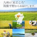 福岡県産【特A】評価のお米「元気つくし」5kg×2袋 [10kg] [白米]【お米 コメ 白米 ブランド米 元気つくし ごはん ご飯 おにぎり お弁当 食品 福岡県産 送料無料 DV030】