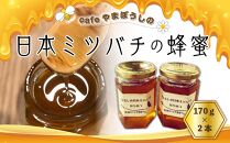 cafeやまぼうしの日本ミツバチの蜂蜜 170ｇ×2本【はちみつ 蜂蜜 ハチミツ ハニー 国産 みつばち ミツバチ 食品 お取り寄せ 取り寄せ グルメ  福岡県 筑前町 BA003】 | JTBのふるさと納税サイト [ふるぽ]