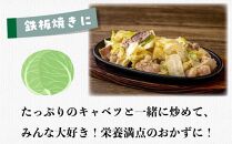 博多和牛ホルモン(もつ鍋・ホルモン焼き用)500g・焼肉のたれ付き【博多和牛 和牛ホルモンもつ もつ鍋 なべ ホルモン焼き 牛もつ 国産 人気 福岡 土産 九州 博多 ご当地 福岡県 筑前町 DP004】