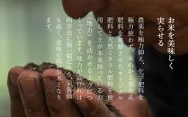 【令和５年産】南魚沼産 笠原農園米 栽培期間中農薬不使用【一年目】コシヒカリ 5kg