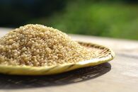【玄米】R5年産 新米コシヒカリ5kg 一等米100% / 雪国棚田米 ~農薬・化学肥料不使用~