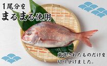 【お歳暮・贈答用・のし付き】天然鳴門鯛鯛しゃぶセット（3～4人前）【日本ギフト大賞2016徳島賞】