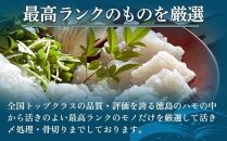 【お歳暮・贈答用・のし付き】冷凍ハモ鍋セット（2～3人前）（徳島産「天然鱧」切り身・つくね）