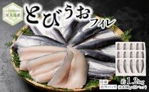 屋久島産 とびうお フィレ 約1200g（約100g×12パック）冷凍 真空パック