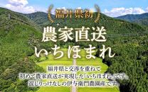 【令和6年産 新米】伊与衛門農園の特別栽培米いちほまれ 精米 5kg 農家直送 《福井県初！》／ 農薬不使用 高品質 鮮度抜群 福井県 あわら市熊坂産 ブランド米 白米 ＜出荷直前精米でお届け！＞