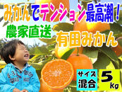 有田みかん5キロ　サイズ混合