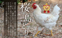 鹿児島県産　桜島どり（もも肉・むね肉）2kg×2パック　合計4kg