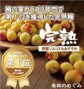 手もぎ完熟南高梅 10Kg 秀品 L～2L