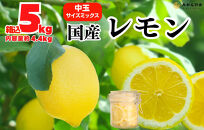 レモン 中玉 国産 箱込5kg(内容量約4.4kg) 秀品 L 2L 3L サイズミックス 和歌山県有田産 【みかんの会】