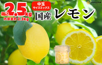 レモン 中玉 国産 箱込2.5kg(内容量約2.3kg) 秀品 L 2L 3L サイズミックス 和歌山県有田産 【みかんの会】