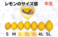 レモン&nbsp;中玉&nbsp;国産&nbsp;箱込2.5kg(内容量約2.3kg)&nbsp;秀品&nbsp;L&nbsp;2L&nbsp;3L&nbsp;サイズミックス&nbsp;和歌山県有田産&nbsp;【みかんの会】