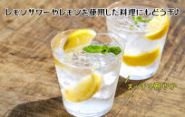 レモン 小玉 国産 箱込5kg(内容量約4.4kg) 秀品 S M L サイズミックス 和歌山県有田産 【みかんの会】