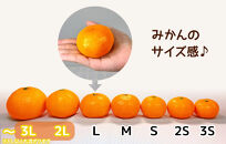 ［先行予約］熟成&nbsp;みかん&nbsp;とにかく&nbsp;大玉&nbsp;箱込10kg&nbsp;(&nbsp;内容量&nbsp;9.2kg&nbsp;)2Lサイズ以上&nbsp;秀品&nbsp;優品&nbsp;混合&nbsp;有田みかん&nbsp;和歌山産&nbsp;産地直送&nbsp;家庭用【みかんの会】