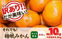 訳あり それでも 熟成みかん 箱込10kg ( 内容量 9.2kg ) サイズミックス Ｂ品 有田みかん 和歌山県産 産地直送 家庭用 【みかんの会】