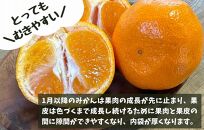 訳あり それでも 熟成みかん 箱込10kg ( 内容量 9.2kg ) サイズミックス Ｂ品 有田みかん 和歌山県産 産地直送 家庭用 【みかんの会】