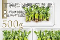 産地直送 朝採れ山菜 タラの芽 500g 山菜 天ぷら 天婦羅 パスタ 炒め物 お浸し 美味しい ご当地 取り寄せ 旬 料理 調理 ごはん 人気 おすすめ グルメ 食品 宮城