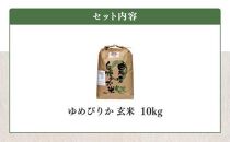 【令和5年産】玄米（10kg）伊藤農園の特別栽培米ゆめぴりか 【定期便5ヶ月】