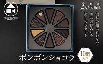 【ASSEMBLAGES&nbsp;KAKIMOTO】ボンボンショコラ10個入り｜京都&nbsp;隠れ家レストラン&nbsp;有名店&nbsp;人気スイーツ&nbsp;[&nbsp;アッサンブラージュ&nbsp;カキモト&nbsp;ボンボンショコラ&nbsp;くちどけなめらか&nbsp;素材の香り&nbsp;贅沢&nbsp;グルメ&nbsp;おすすめ&nbsp;チョコレート&nbsp;お菓子&nbsp;洋菓子&nbsp;ギフト&nbsp;プレゼント&nbsp;お取り寄せ&nbsp;通販&nbsp;送料無料&nbsp;］