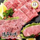 福岡県産 黒毛和牛A4ランク以上の博多和牛！ 極上食べ比べセット（焼肉詰め合わせ450g・特選スライス450g・サーロインステーキ(1枚)200～250g）【お肉 牛肉 牛 黒毛和牛 博多和牛 和牛 焼肉用 スライス サーロイン ステーキ 食べ比べ 福岡県産 福岡県 筑前町 DW010】