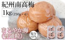 紀州南高梅  250g×4 塩分 10％ はちみつ梅干 まろやか梅 普通粒【ギフト 化粧箱入り 贈答用】