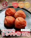 紀州南高梅 人気あまい梅干4種 1Kg（250g×4パック）【ギフト 化粧箱入り 贈答用】