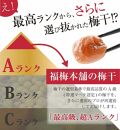 紀州特選南高梅 木樽700g（あまみつ梅）【ギフト 化粧箱入り 贈答用】