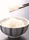 米 にじのきらめき 20kg（5kg×4）和歌山県産【2023年産】