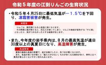 【生産者応援】 訳あり 江刺りんご サンふじ 10kg  大玉（28～32玉）  12月下旬以降順次配送 天候被害果 【凍霜害支援】