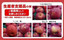 【生産者応援】 訳あり 江刺りんご サンふじ 10kg  大玉（28～32玉）  12月下旬以降順次配送 天候被害果 【凍霜害支援】